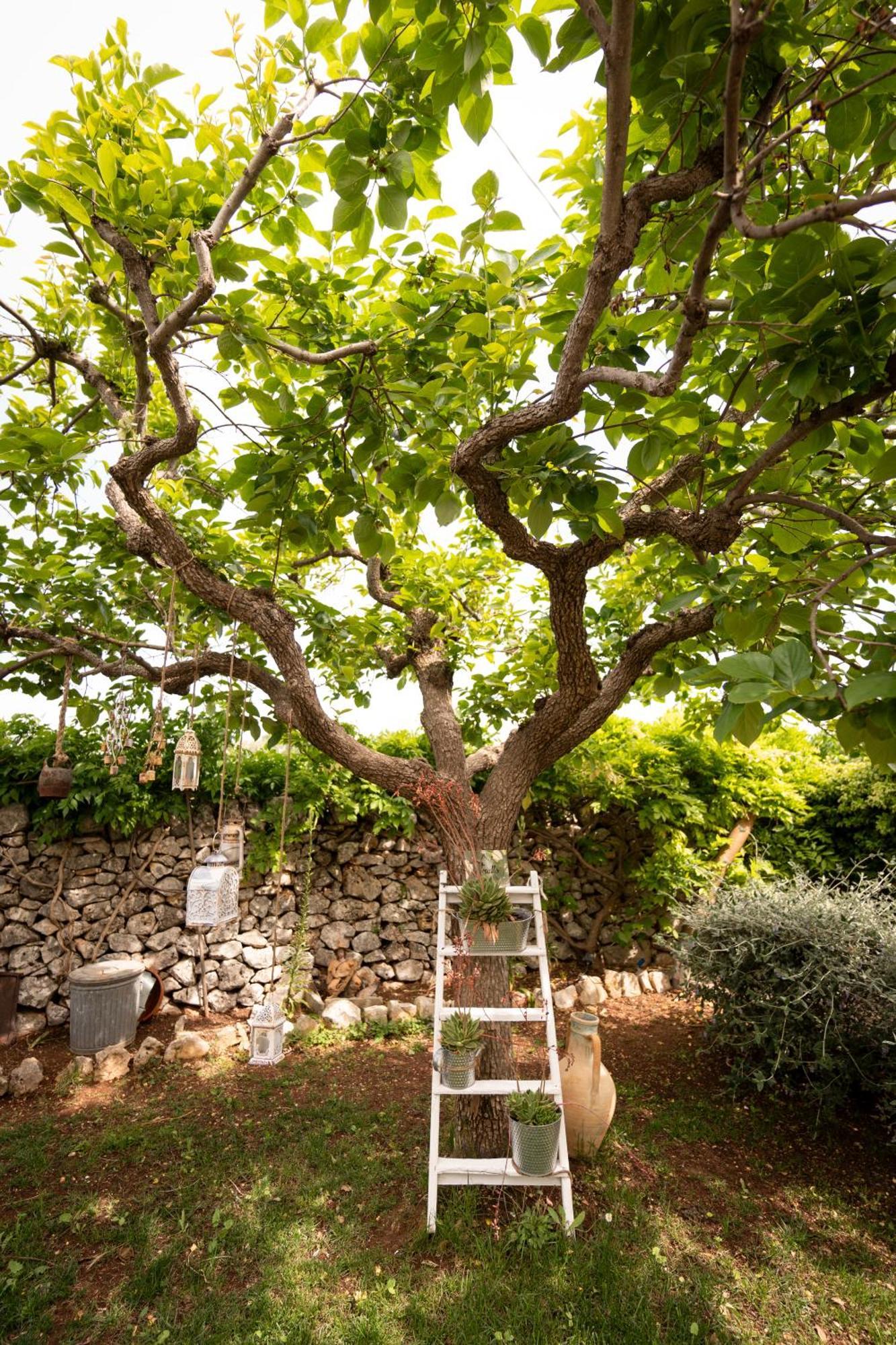 Il Trullo Volza Vila Locorotondo Exterior foto